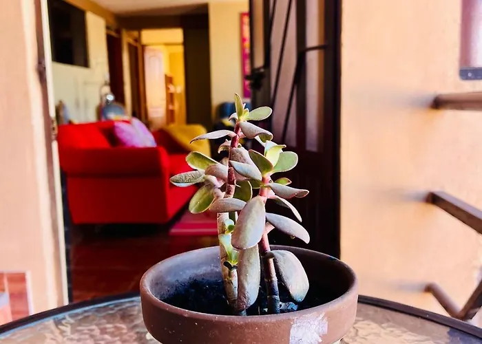 Apartamento New Colorful & Artsy Home, Fam Perfect, Great Wifi For Working Cusco